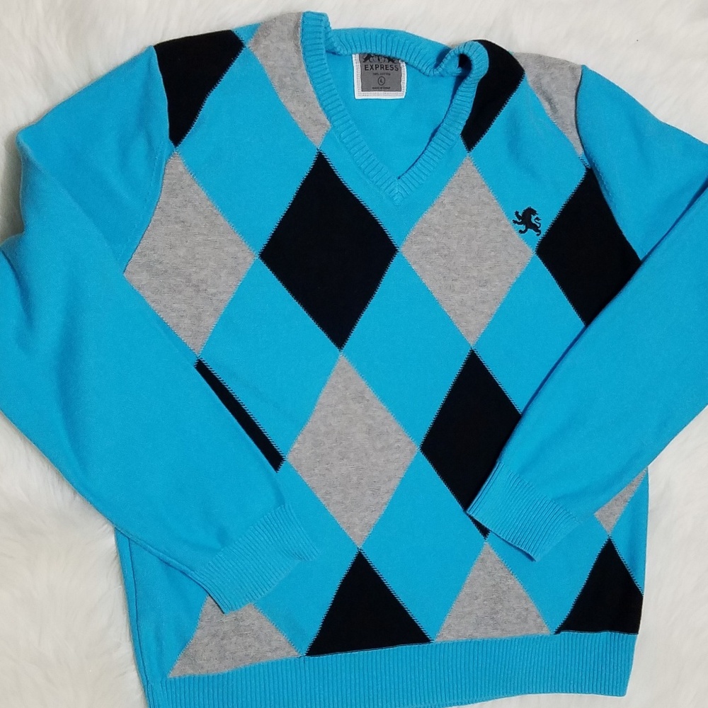 Express Blue Checkered Sweater Long Sleeve Large